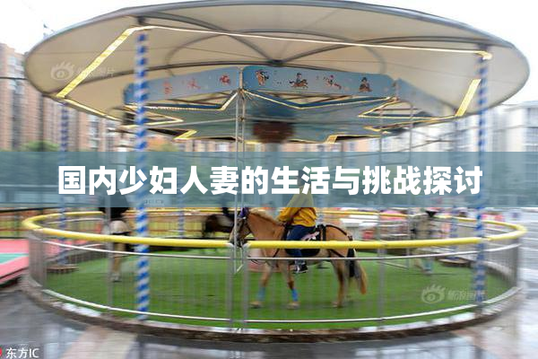 国内少妇人妻的生活与挑战探讨
