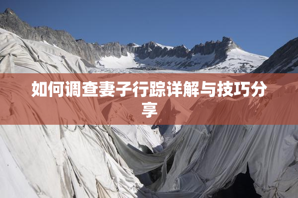 如何调查妻子行踪详解与技巧分享