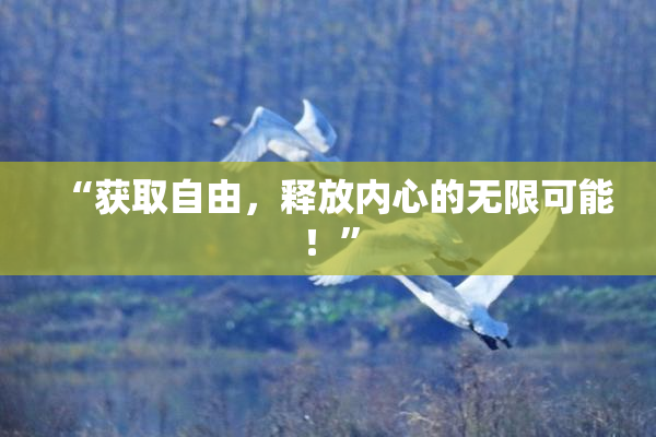 “获取自由，释放内心的无限可能！”