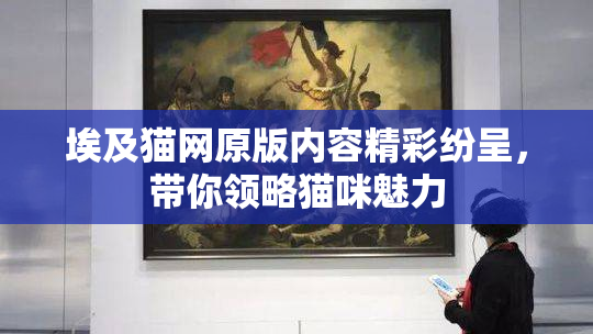 埃及猫网原版内容精彩纷呈，带你领略猫咪魅力
