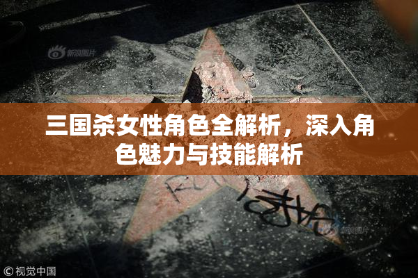 三国杀女性角色全解析，深入角色魅力与技能解析