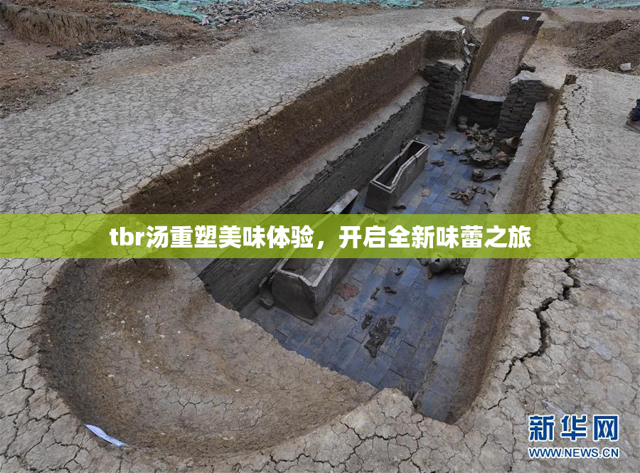 tbr汤重塑美味体验，开启全新味蕾之旅