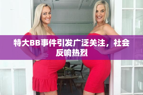 特大BB事件引发广泛关注，社会反响热烈