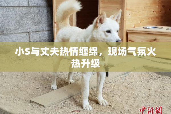 小S与丈夫热情缠绵，现场气氛火热升级
