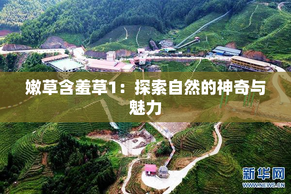 嫩草含羞草1：探索自然的神奇与魅力
