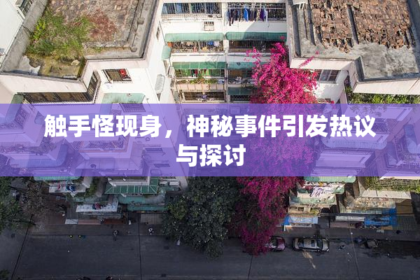 触手怪现身，神秘事件引发热议与探讨