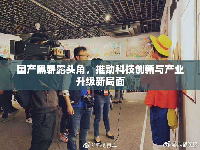 国产黑崭露头角，推动科技创新与产业升级新局面