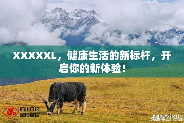 XXXXXL，健康生活的新标杆，开启你的新体验！