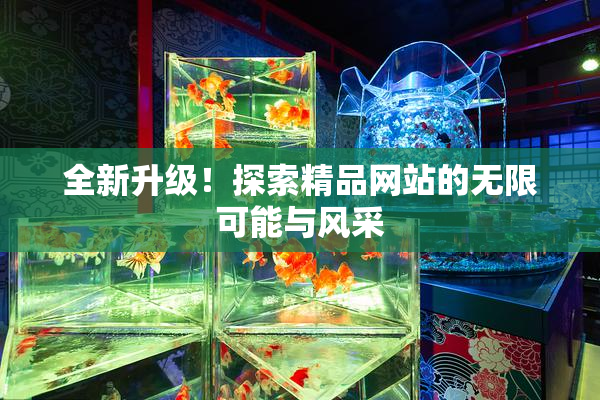 全新升级！探索精品网站的无限可能与风采