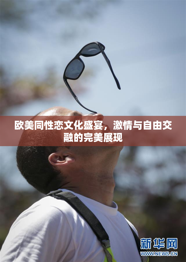 欧美同性恋文化盛宴，激情与自由交融的完美展现