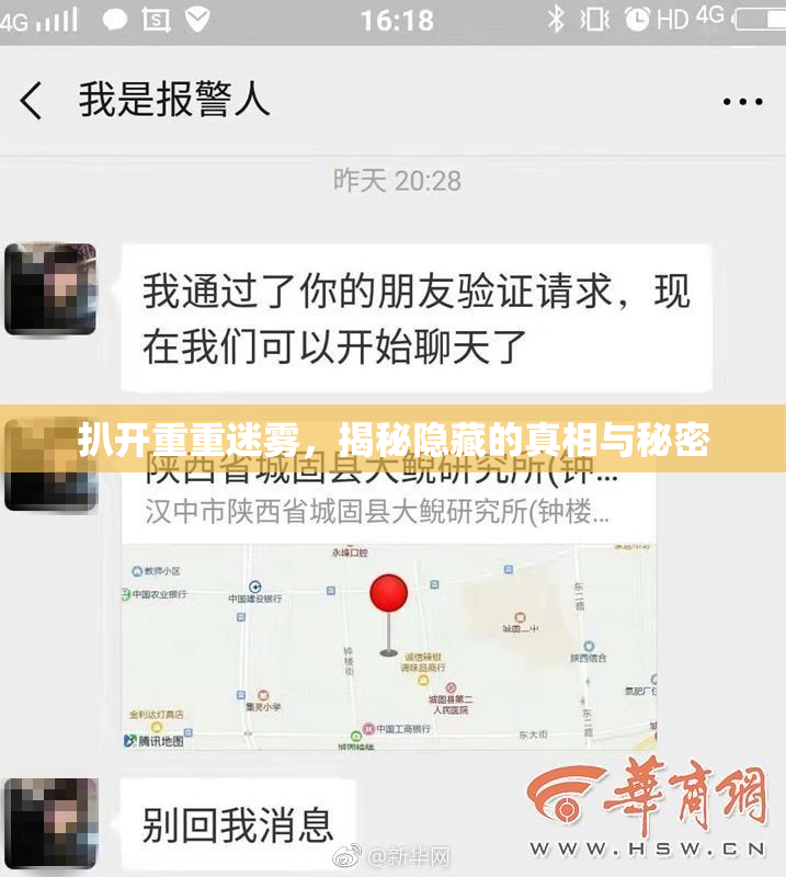 扒开重重迷雾，揭秘隐藏的真相与秘密