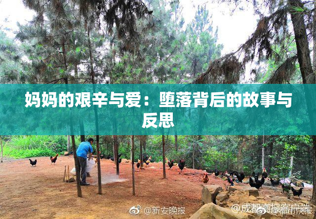 妈妈的艰辛与爱：堕落背后的故事与反思