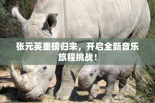 张元英重磅归来，开启全新音乐旅程挑战！