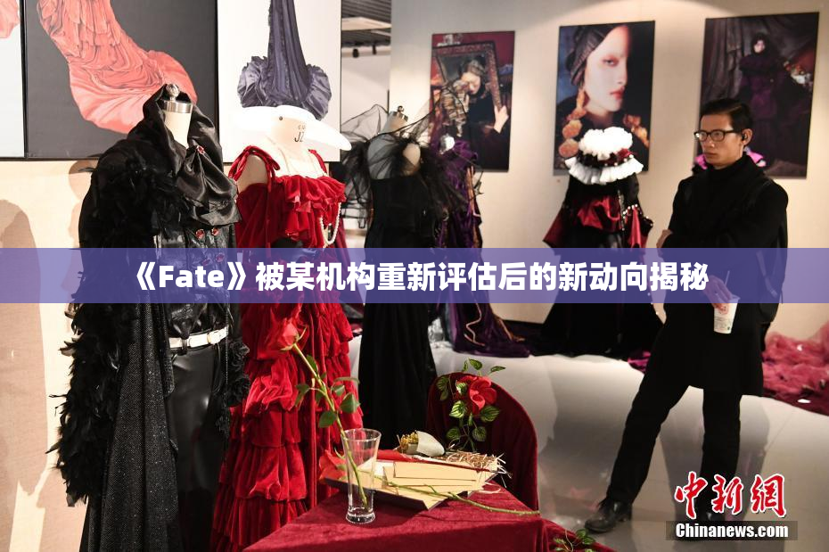 《Fate》被某机构重新评估后的新动向揭秘