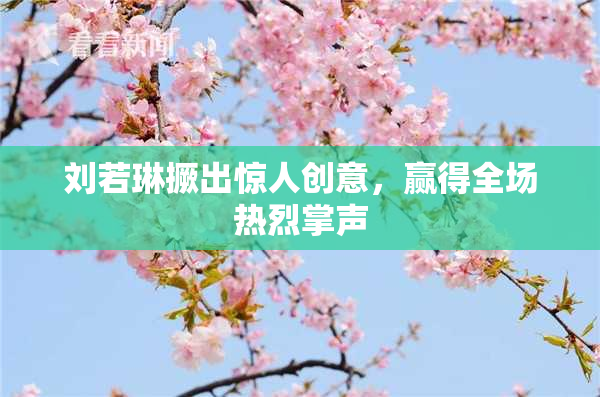 刘若琳撅出惊人创意，赢得全场热烈掌声