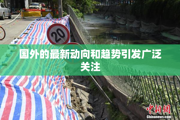 国外的最新动向和趋势引发广泛关注
