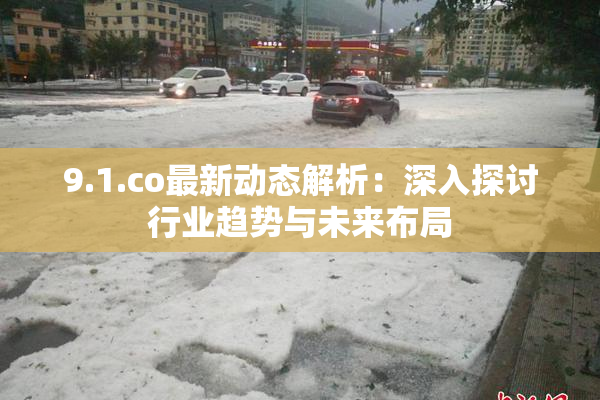 9.1.co最新动态解析：深入探讨行业趋势与未来布局