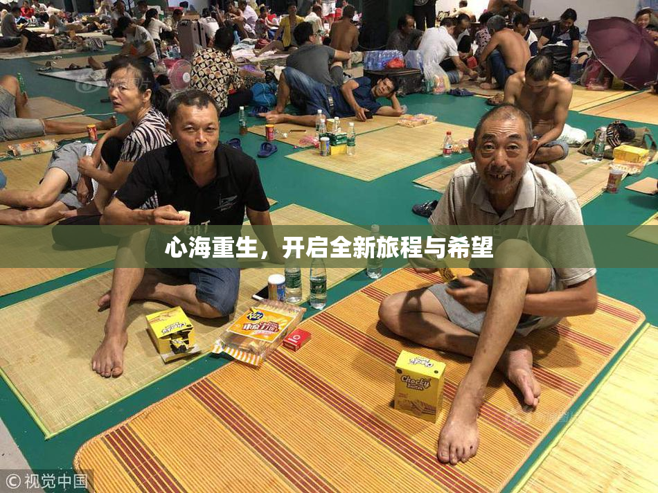 心海重生，开启全新旅程与希望
