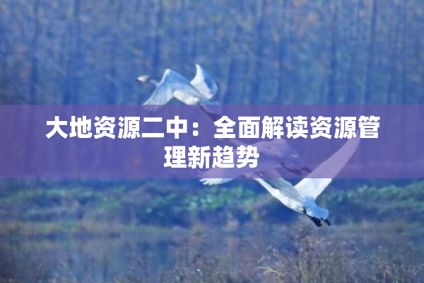 大地资源二中：全面解读资源管理新趋势