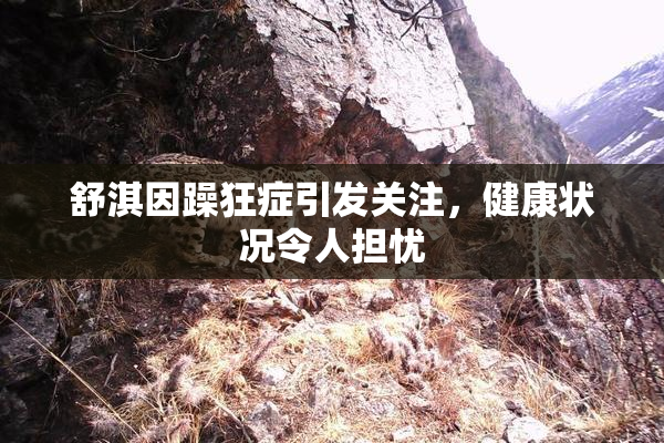 舒淇因躁狂症引发关注，健康状况令人担忧