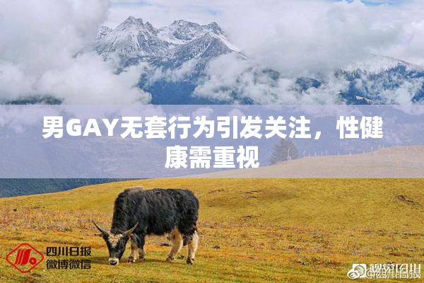 男GAY无套行为引发关注，性健康需重视