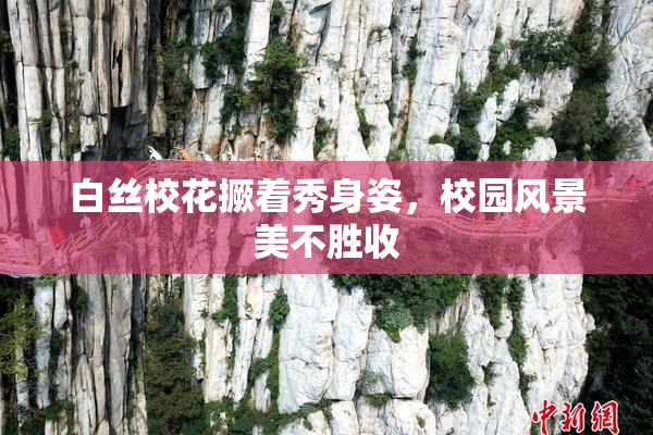白丝校花撅着秀身姿，校园风景美不胜收