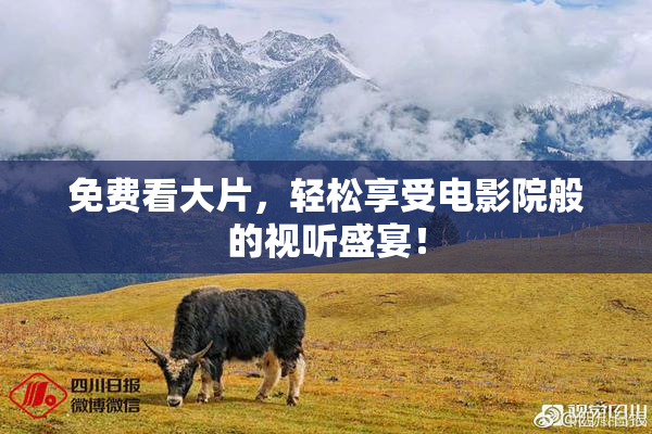 免费看大片，轻松享受电影院般的视听盛宴！