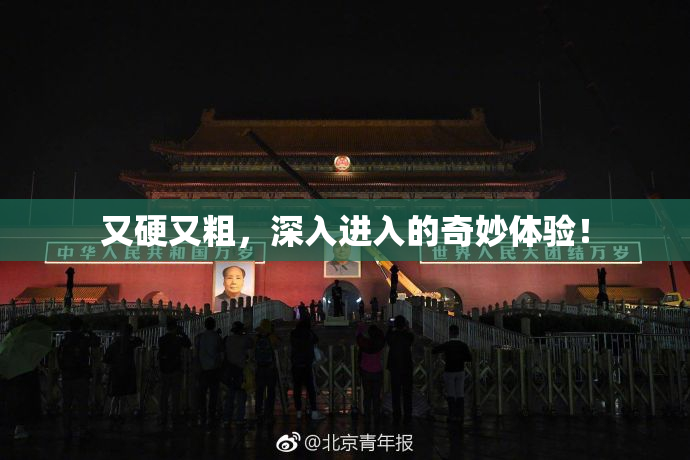 又硬又粗，深入进入的奇妙体验！