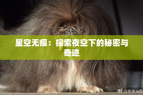 星空无痕：探索夜空下的秘密与奇迹