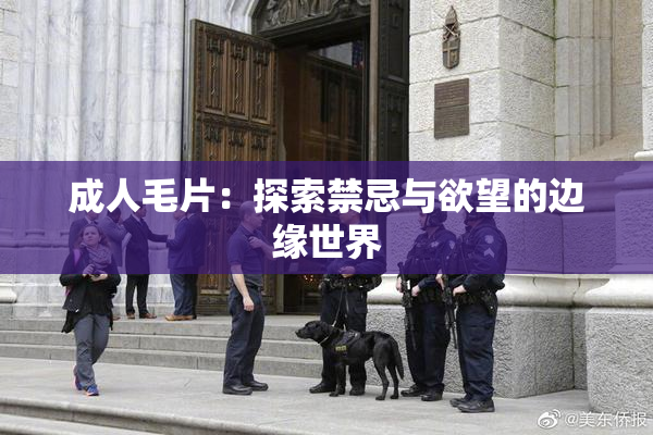 成人毛片：探索禁忌与欲望的边缘世界