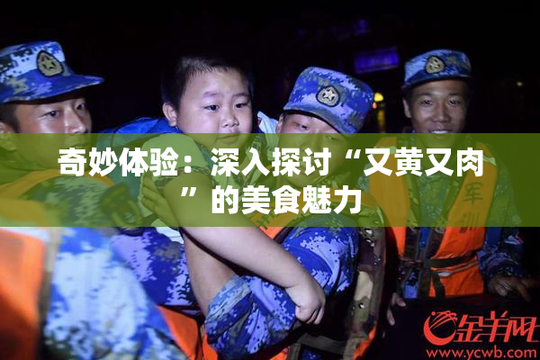 奇妙体验：深入探讨“又黄又肉”的美食魅力