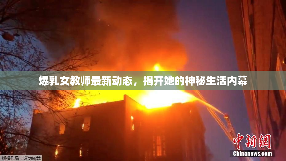 爆乳女教师最新动态，揭开她的神秘生活内幕