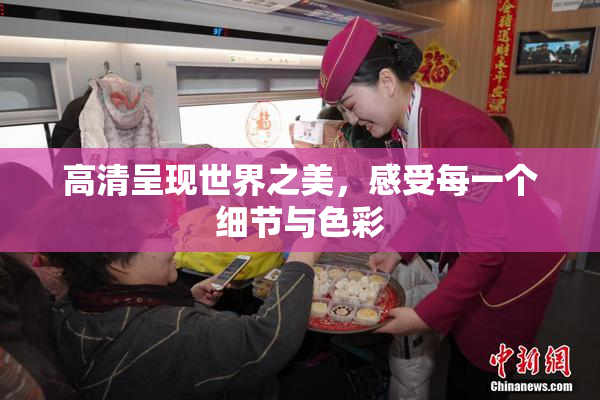高清呈现世界之美，感受每一个细节与色彩