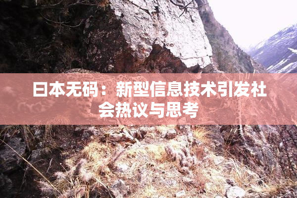 曰本无码：新型信息技术引发社会热议与思考