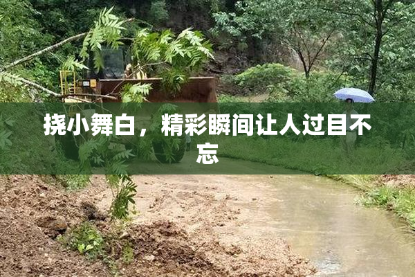 挠小舞白，精彩瞬间让人过目不忘