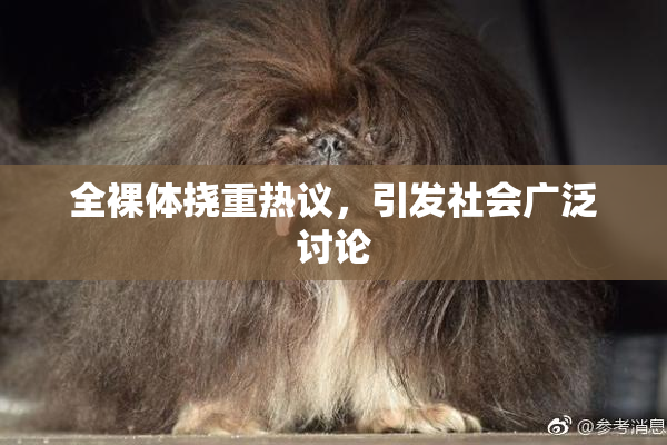 全裸体挠重热议，引发社会广泛讨论