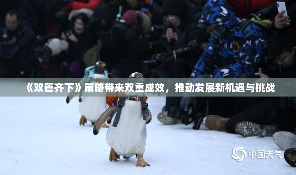 《双管齐下》策略带来双重成效，推动发展新机遇与挑战
