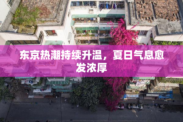 东京热潮持续升温，夏日气息愈发浓厚
