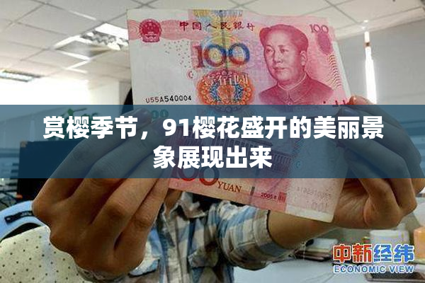 赏樱季节，91樱花盛开的美丽景象展现出来