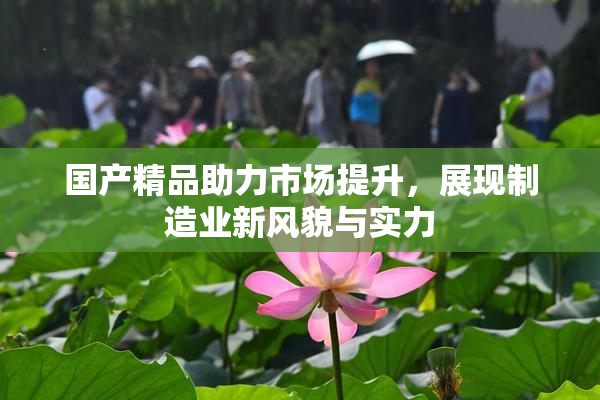 国产精品助力市场提升，展现制造业新风貌与实力