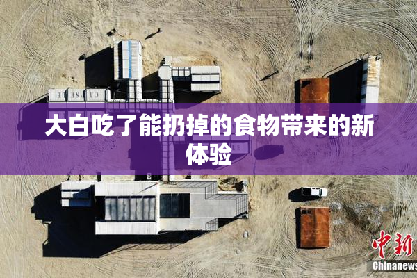 大白吃了能扔掉的食物带来的新体验