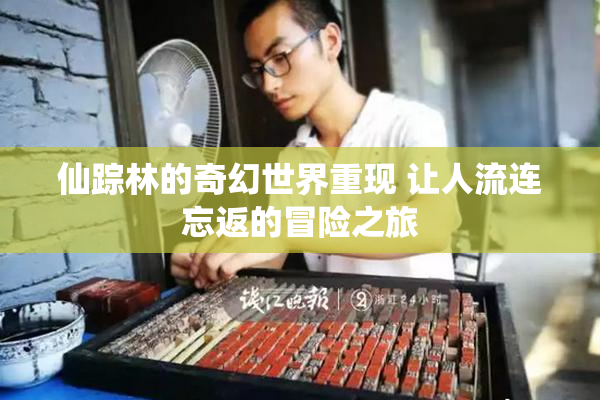 仙踪林的奇幻世界重现 让人流连忘返的冒险之旅
