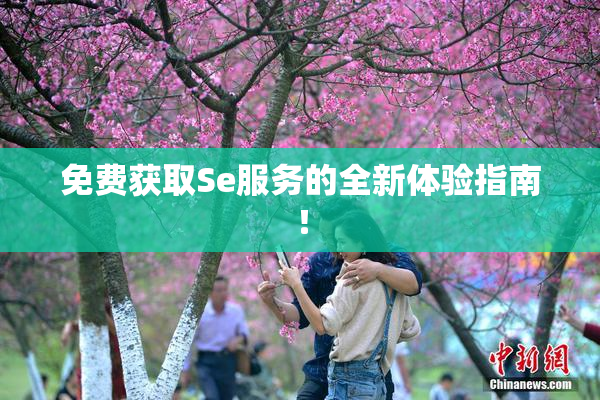 免费获取Se服务的全新体验指南！