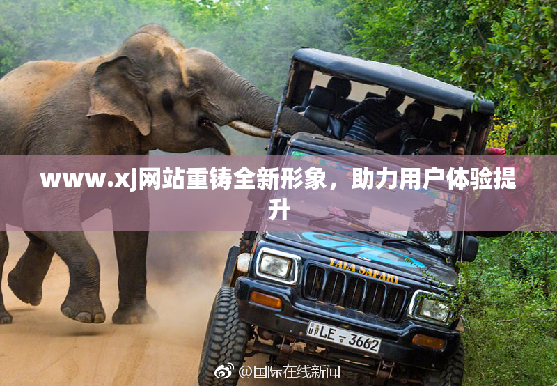 www.xj网站重铸全新形象，助力用户体验提升