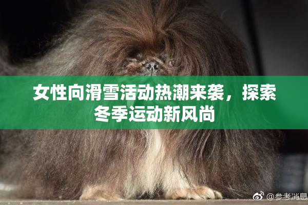 女性向滑雪活动热潮来袭，探索冬季运动新风尚