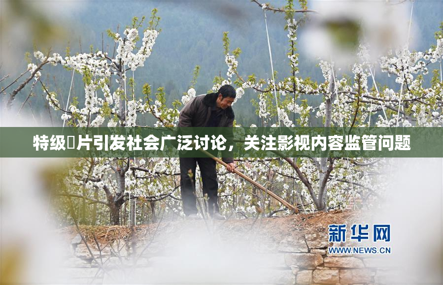 特级婬片引发社会广泛讨论，关注影视内容监管问题