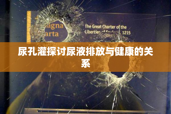 尿孔灌探讨尿液排放与健康的关系