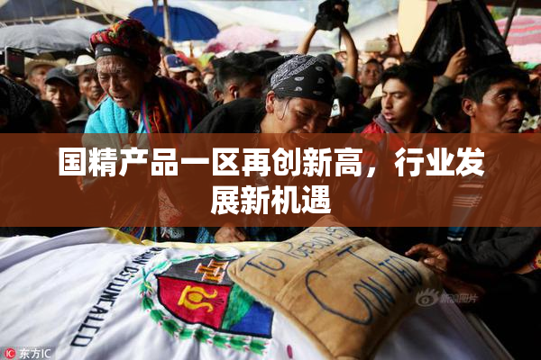 国精产品一区再创新高，行业发展新机遇