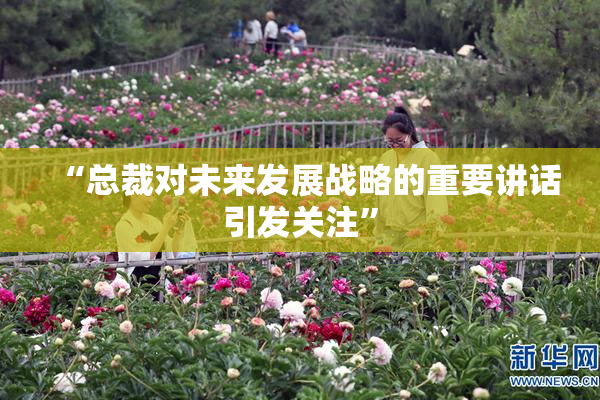 “总裁对未来发展战略的重要讲话引发关注”