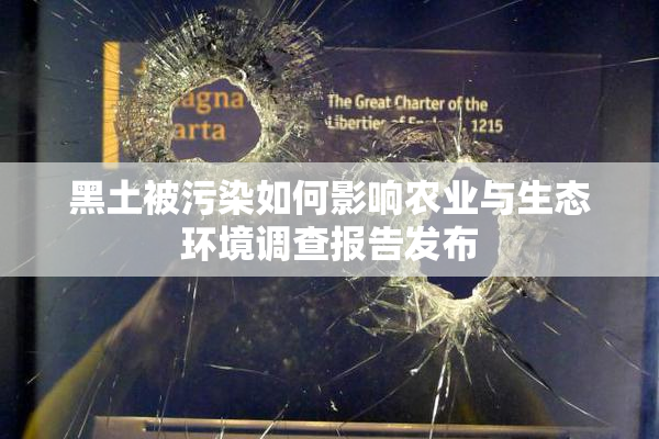 黑土被污染如何影响农业与生态环境调查报告发布